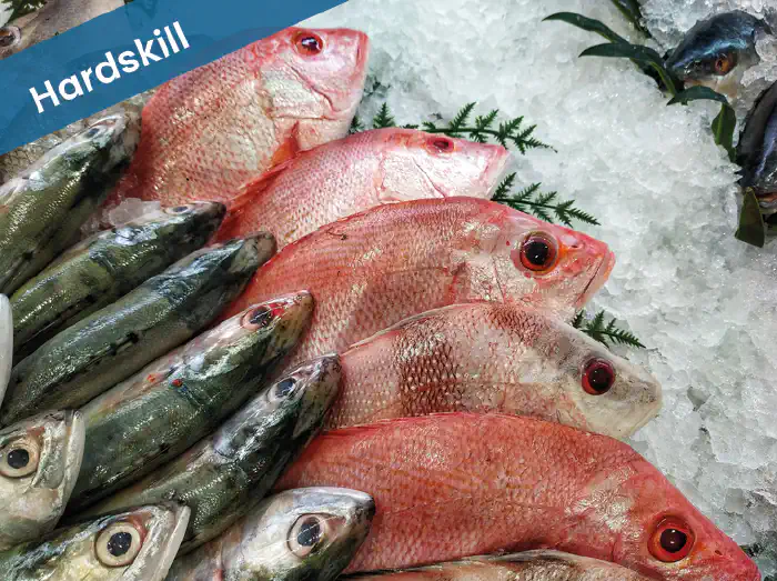 Bederfelijke goederen (4 - 8 uren)