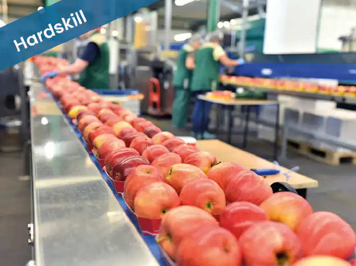 Kwaliteitsconcepten II (4 - 8 uren)