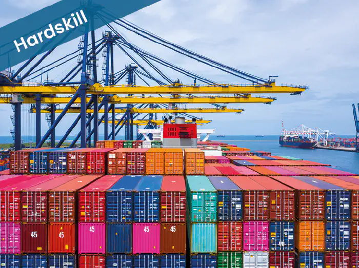 Organisatie II (4 - 8 uren)